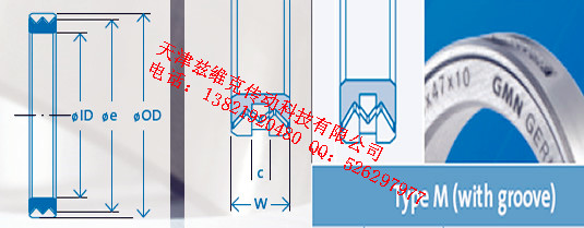 GMNM42X55X10油封圖紙